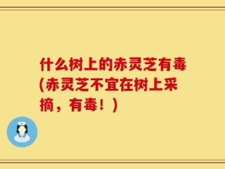 什么树上的赤灵芝有毒(赤灵芝不宜在树上采摘，有毒！)