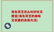 海东灵芝怎么吃好吃又便宜(海东灵芝的美味又实惠的食用方法)