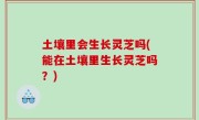 土壤里会生长灵芝吗(能在土壤里生长灵芝吗？)