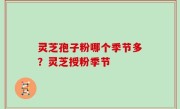 灵芝孢子粉哪个季节多？灵芝授粉季节