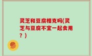 灵芝和豆腐相克吗(灵芝与豆腐不宜一起食用？)