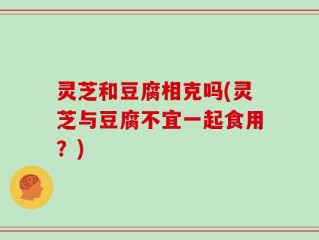 灵芝和豆腐相克吗(灵芝与豆腐不宜一起食用？)