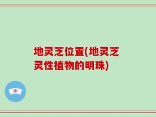 地灵芝位置(地灵芝 灵性植物的明珠)