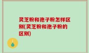 灵芝粉和孢子粉怎样区别(灵芝粉和孢子粉的区别)
