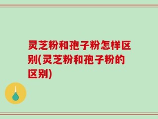 灵芝粉和孢子粉怎样区别(灵芝粉和孢子粉的区别)