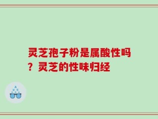 灵芝孢子粉是属酸性吗？灵芝的性味归经