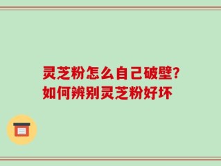 灵芝粉怎么自己破壁？如何辨别灵芝粉好坏