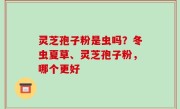 灵芝孢子粉是虫吗？冬虫夏草、灵芝孢子粉，哪个更好