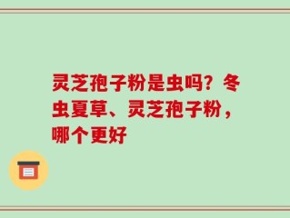 灵芝孢子粉是虫吗？冬虫夏草、灵芝孢子粉，哪个更好