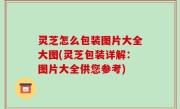 灵芝怎么包装图片大全大图(灵芝包装详解：图片大全供您参考)