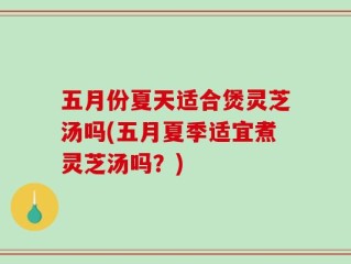 五月份夏天适合煲灵芝汤吗(五月夏季适宜煮灵芝汤吗？)