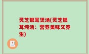 灵芝银耳煲汤(灵芝银耳炖汤：营养美味又养生)