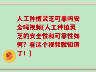 人工种植灵芝可靠吗安全吗视频(人工种植灵芝的安全性和可靠性如何？看这个视频就知道了！)