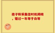 孢子粉采集佳时机揭晓，错过一年等于白等