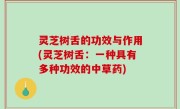 灵芝树舌的功效与作用(灵芝树舌：一种具有多种功效的中草药)