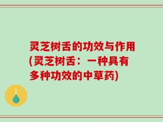 灵芝树舌的功效与作用(灵芝树舌：一种具有多种功效的中草药)
