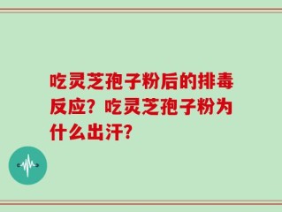 吃灵芝孢子粉后的排毒反应？吃灵芝孢子粉为什么出汗？