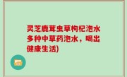 灵芝鹿茸虫草枸杞泡水多种中草药泡水，喝出健康生活)
