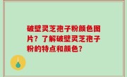 破壁灵芝孢子粉颜色图片？了解破壁灵芝孢子粉的特点和颜色？