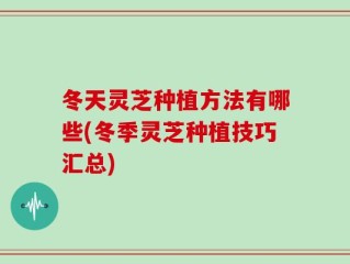 冬天灵芝种植方法有哪些(冬季灵芝种植技巧汇总)