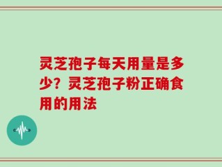 灵芝孢子每天用量是多少？灵芝孢子粉正确食用的用法