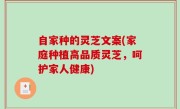 自家种的灵芝文案(家庭种植高品质灵芝，呵护家人健康)