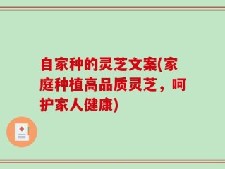 自家种的灵芝文案(家庭种植高品质灵芝，呵护家人健康)