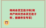 朔州赤灵芝孢子粉(朔州产纯天然赤灵芝孢子粉，健康养生专家)