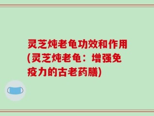 灵芝炖老龟功效和作用(灵芝炖老龟：增强免疫力的古老药膳)