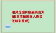 谢灵芝图片插画高清大图(高清插图匠人谢灵芝精彩呈现)