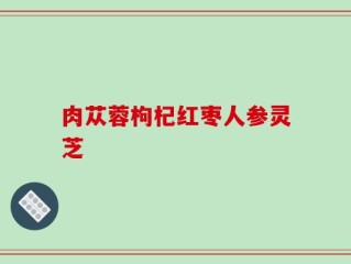 肉苁蓉枸杞红枣人参灵芝