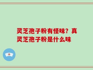 灵芝孢子粉有怪味？真灵芝孢子粉是什么味