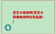 灵芝小镇烧烤(灵芝小镇美味烧烤任你品尝！)
