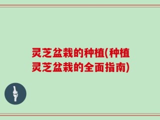 灵芝盆栽的种植(种植灵芝盆栽的全面指南)