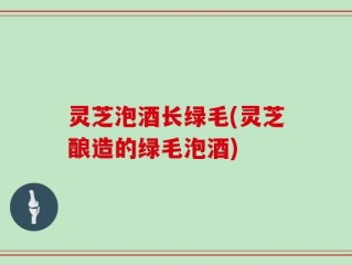 灵芝泡酒长绿毛(灵芝酿造的绿毛泡酒)