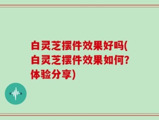 白灵芝摆件效果好吗(白灵芝摆件效果如何？体验分享)