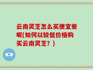 云南灵芝怎么买便宜些呢(如何以较低价格购买云南灵芝？)