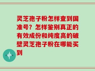 灵芝孢子粉怎样查到国准号？怎样鉴别真正的有效成份和纯度高的破壁灵芝孢子粉在哪能买到