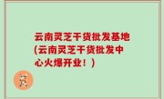 云南灵芝干货批发基地(云南灵芝干货批发中心火爆开业！)