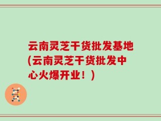 云南灵芝干货批发基地(云南灵芝干货批发中心火爆开业！)