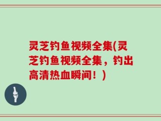 灵芝钓鱼视频全集(灵芝钓鱼视频全集，钓出高清热血瞬间！)