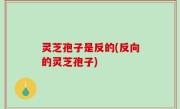 灵芝孢子是反的(反向的灵芝孢子)
