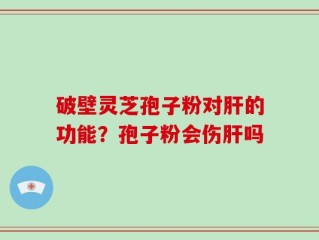 破壁灵芝孢子粉对肝的功能？孢子粉会伤肝吗