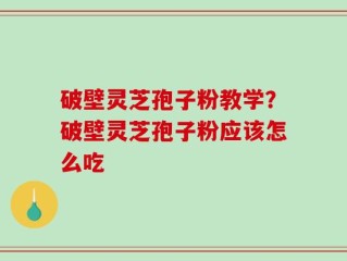 破壁灵芝孢子粉教学？破壁灵芝孢子粉应该怎么吃