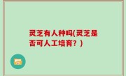 灵芝有人种吗(灵芝是否可人工培育？)