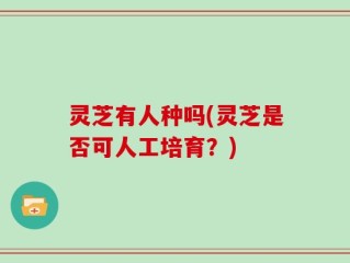 灵芝有人种吗(灵芝是否可人工培育？)