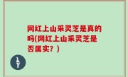 网红上山采灵芝是真的吗(网红上山采灵芝是否属实？)