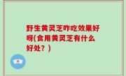 野生黄灵芝咋吃效果好呀(食用黄灵芝有什么好处？)