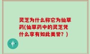 灵芝为什么称它为仙草药(仙草药中的灵芝凭什么享有如此美誉？)