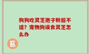 狗狗吃灵芝孢子粉后不适？宠物狗误食灵芝怎么办